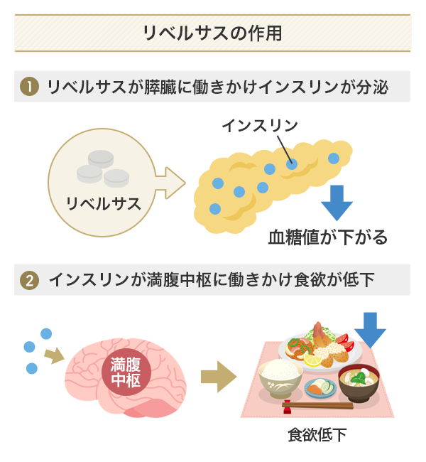 リベルサスの作用